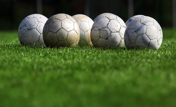 乐鱼体育app 功能预览